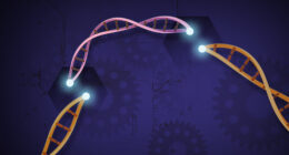 Stylised representation of DNA manipulation