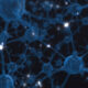 neurons