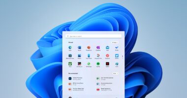 windows 11