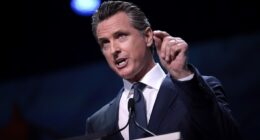 Gavin Newsom