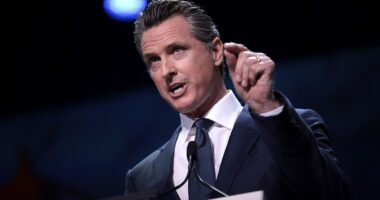 Gavin Newsom
