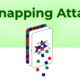 pixnapping.com