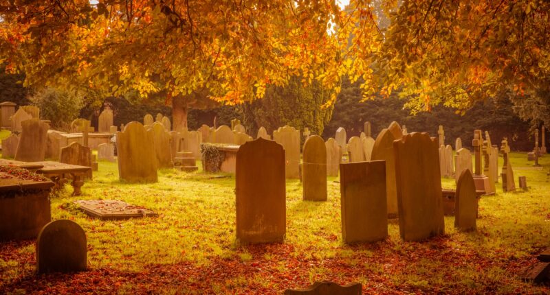 cemetery in autumn