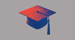 Higher education
