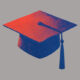 Higher education