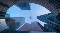The aviation industry