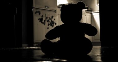 teddy in darkness