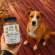 Dogs and CBD.