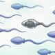 AI-guided sperm.