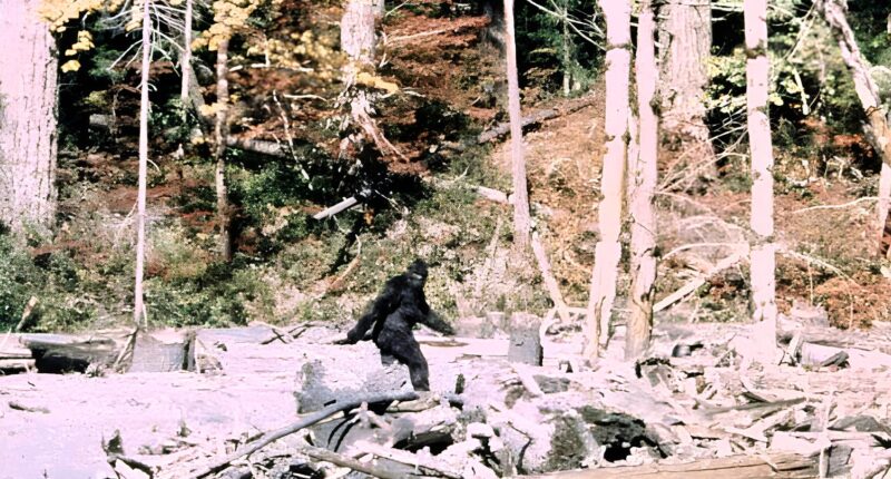 Bigfoot.