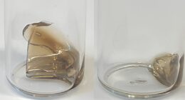 poly(dicyclopentadiene) plastic