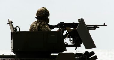 British defence industry.