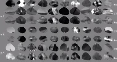 Reading a mouse's brain.