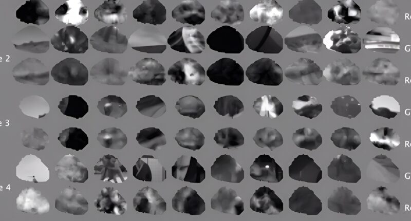 Reading a mouse's brain.