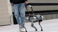 Robot guide dog.
