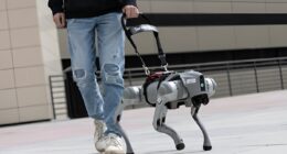 Robot guide dog.