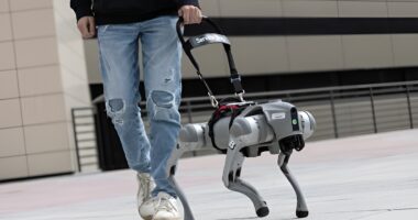 Robot guide dog.