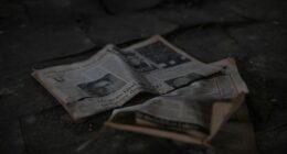 Newspapers.